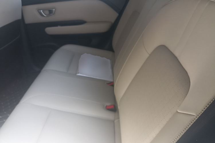 Used Wuling Bingo PLUS 2024 510 km Flagship Edition Four-Seater Version
