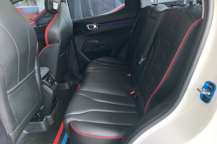 Used Haval X DOG 2022 1.5T DCT Two-Wheel Drive Trendy Edition Left Rear Seat