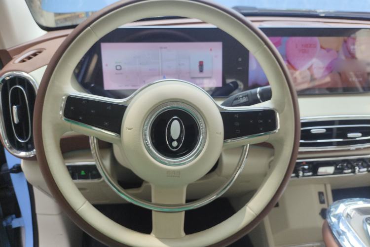 Used ORA Ballet Cat 2023 401 km Luxury Version
