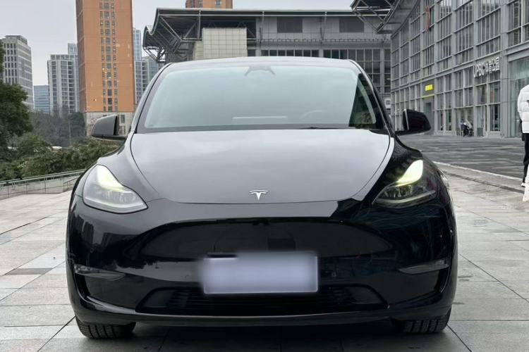 Used Tesla Model Y 2021 Long-Range All-Wheel-Drive Version 3D7