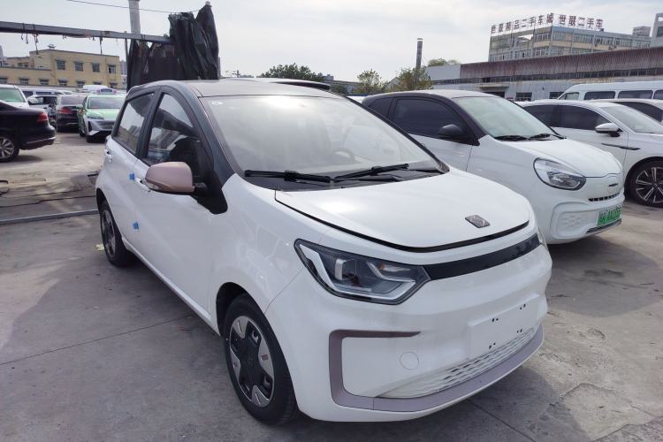 Used SOL E10X 2022 Flower Fairy Design Dandelion