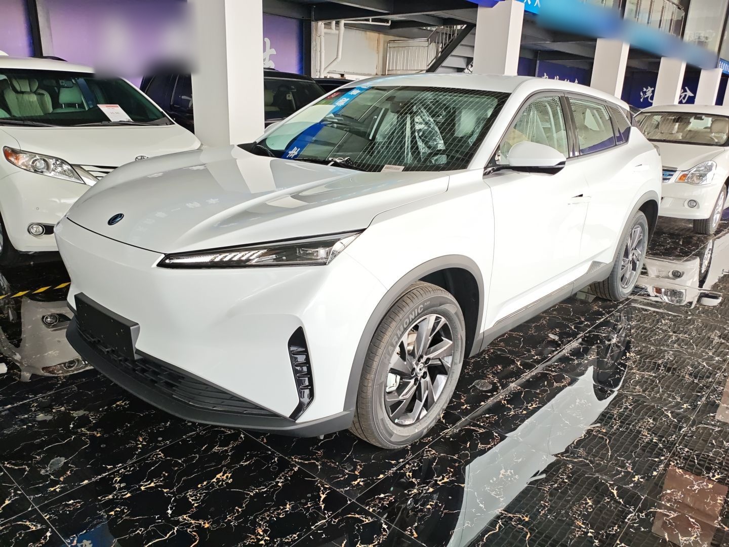 Parte inferior delantera