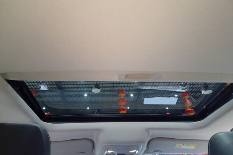 Used Tank 300 2024 2.0T Conqueror