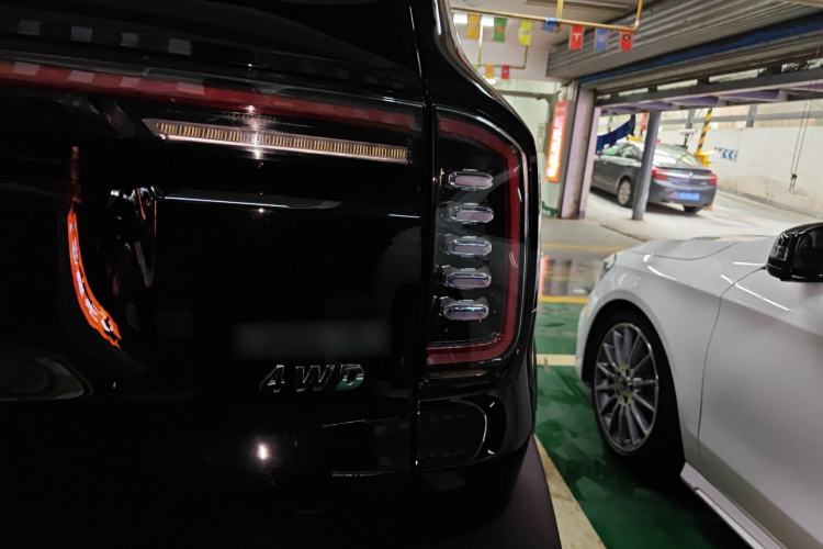 Used Haval DARGO 2024 2.0T DCT Chinese Rural Dog Edition
