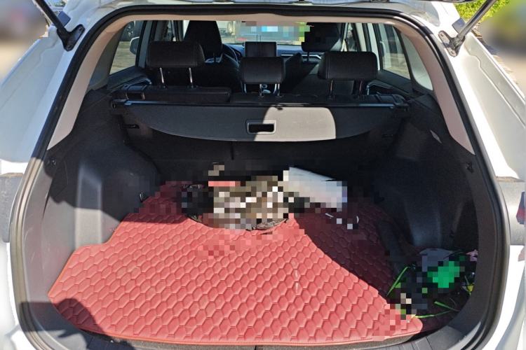 Used Toyota Wildlander 2022 2.0L CVT Two-Wheel Drive Luxury PLUS Edition
