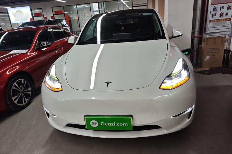 Used Tesla Model Y 2021 Standard Range Rear-Wheel Drive Version
