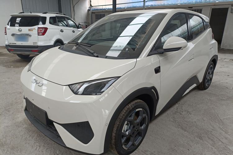 Used BYD Seagull 2025 Smart Drive Version 305 km Freedom Edition