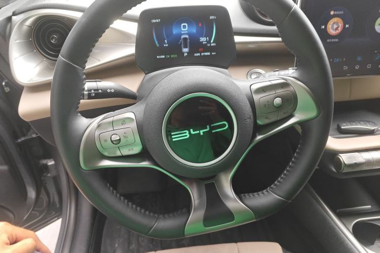 Used BYD Dolphin 2023 420 km Free Version Steering Wheel