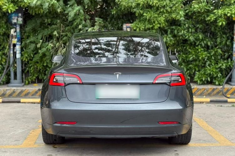 Used Tesla Model 3 2019 Standard Range Rear-Drive Upgraded Version Exterior 1