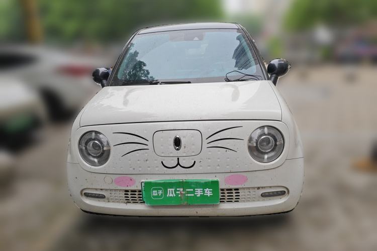 Used ORA Black Cat 2021 351 km Luxury Version Front