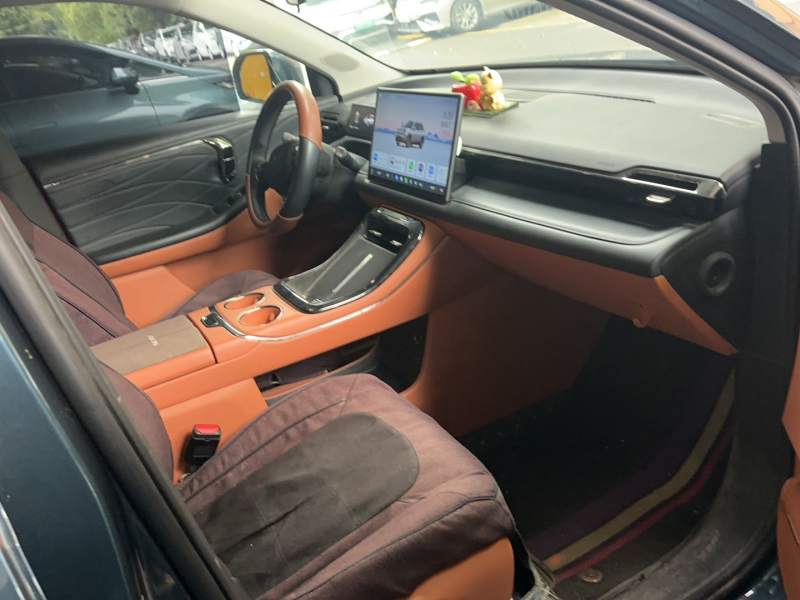 Used AION V 2024 Aion Tyrannosaurus 650 Smart Luxury Edition — 17