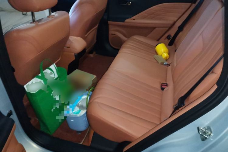 Used AION V 2024 Aion Tyrannosaurus 650 Smart Premium Edition Left Rear Seat