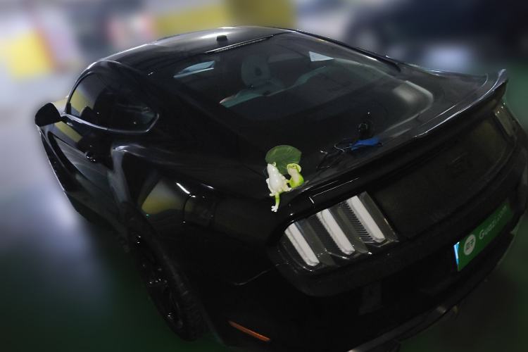 Used Ford Mustang 2017 2.3T Performance Edition