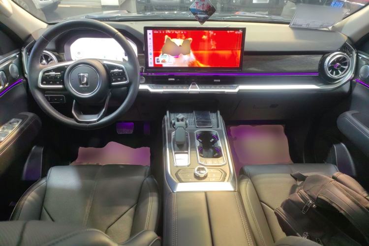 Used Tank 400 New Energy 2024 Hi4-T City Edition
