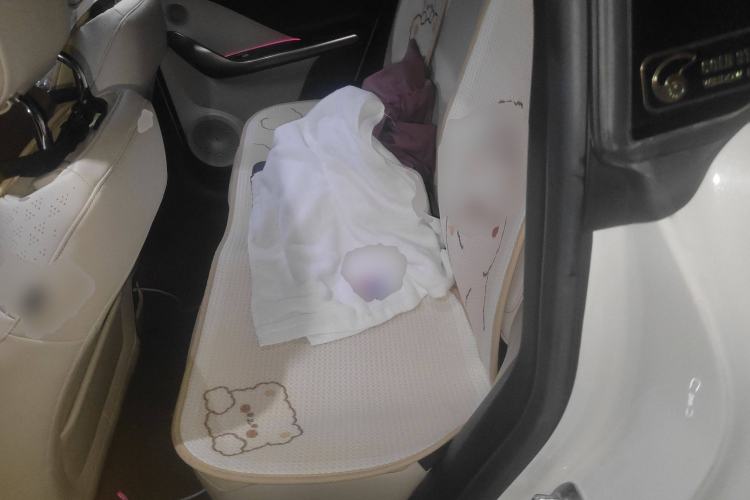 Used smart #1 2022 Pulse Heartbeat Edition Left Rear Seat