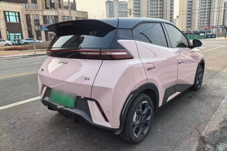 Used BYD Seagull 2025 305 km Free Version