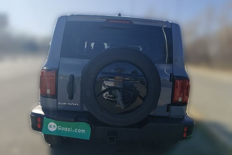 Used Tank 300 2024 2.0T Conqueror
