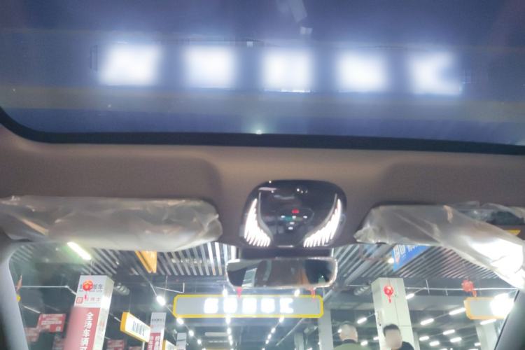 Used VOYAH PASSION 2024 PHEV Four-Wheel Drive Ultra-Long Range Flagship Model Headliner