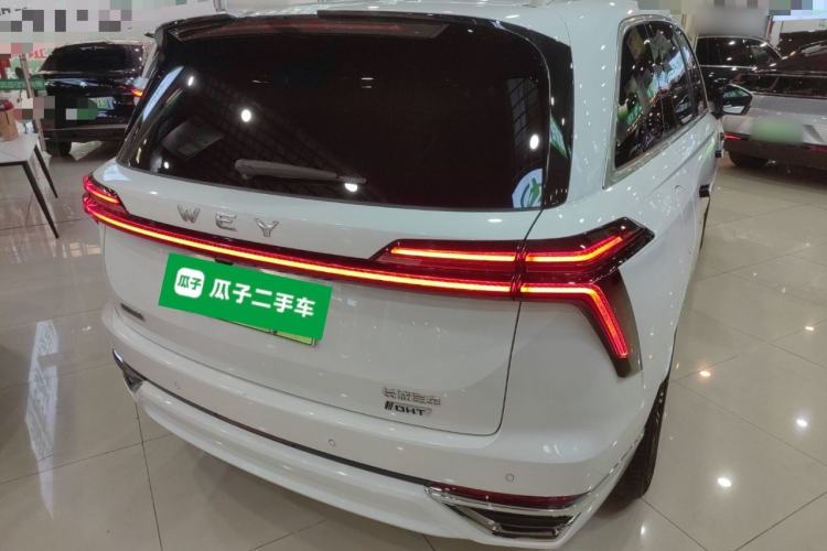 Used Wey Lanshan 2023 Four-Wheel Drive Ultra-Long Range Version
