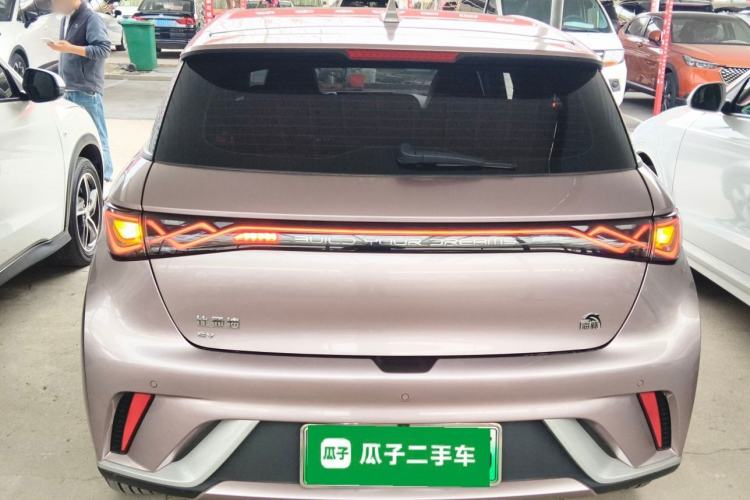 Used BYD Dolphin 2023 420 km Fashion Edition Rear