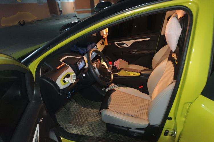 Used SOL E10X 2022 Flower Fairy Design Four-Leaf Clover