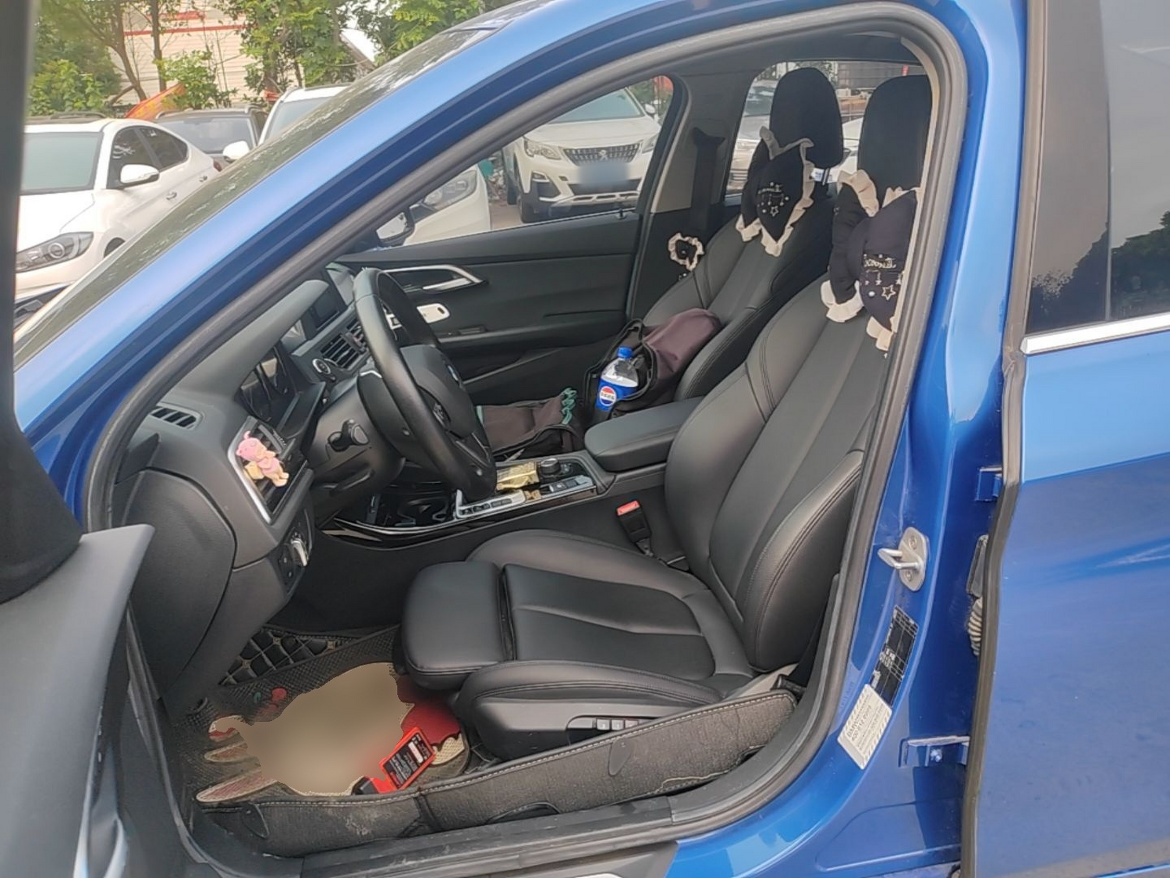 Interior delantero