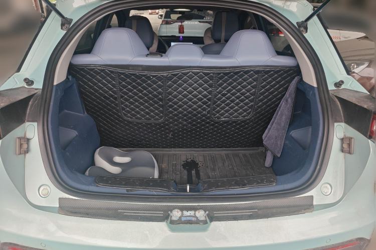 Used Geometry E Firefly 2022 401 km Linglong Tiger 4 Seats Trunk