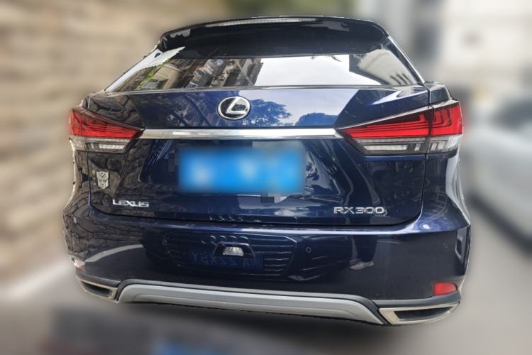 Used Lexus RX 2020 Facelifted 300 4x4 Elegant Edition Rear