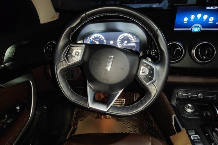 Used Wey P8 2018 2.0T Flagship Model