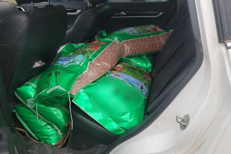 Used Dongfeng Aeolus AX7 2015 2.0L Automatic Zhiyi Trim Left Rear Seat