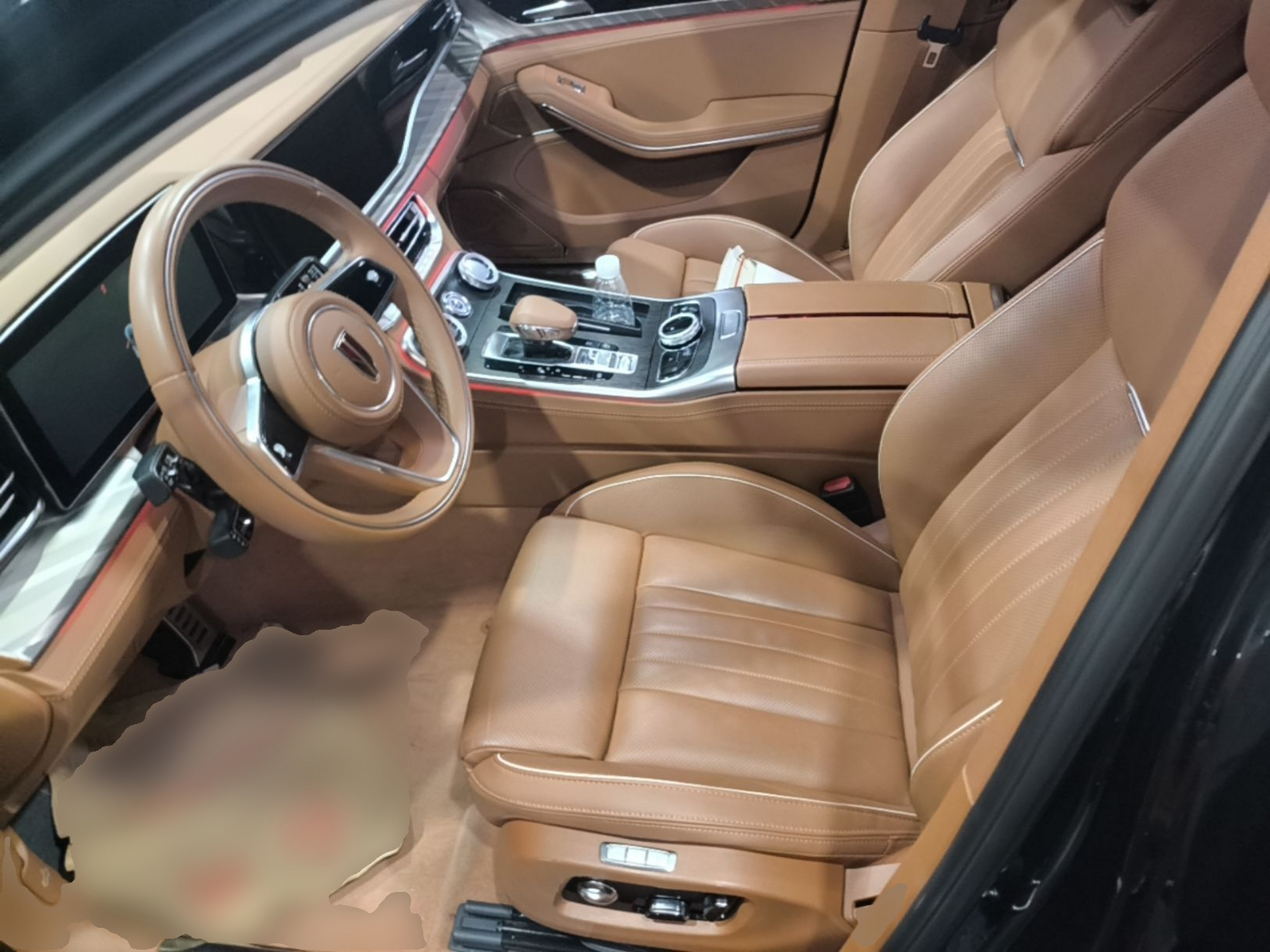 Interior delantero