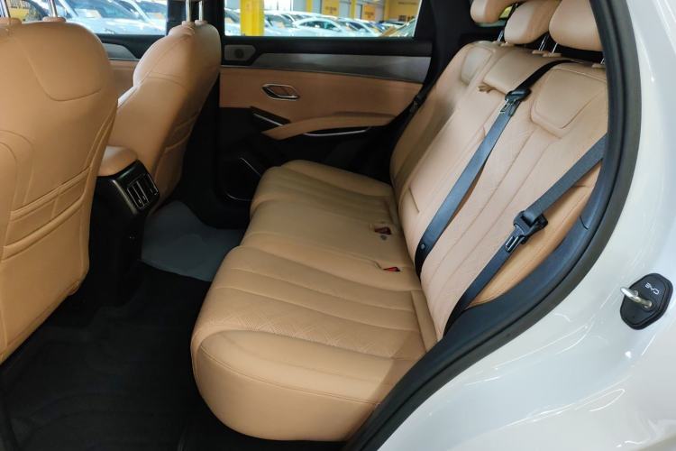 Used BYD Song L DM-i 2024 112 km Leading Edition Left Rear Seat