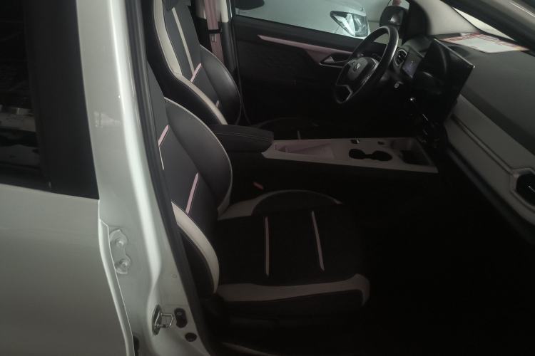 Used SOL E10X 2022 Flower Fairy Style Baby's Breath