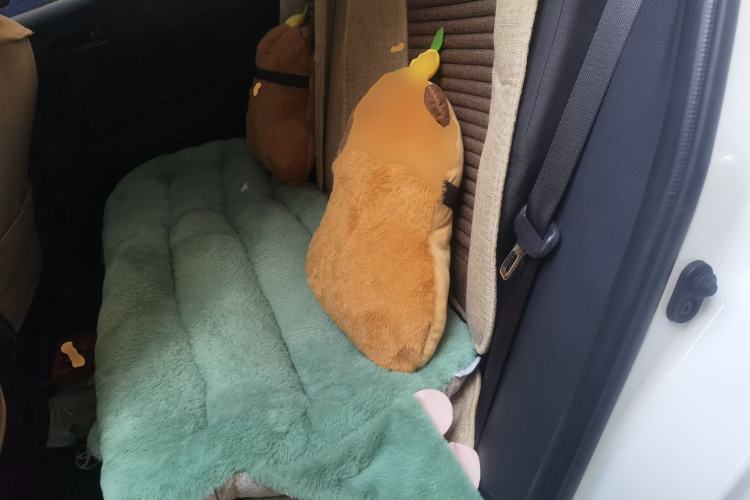 Used Toyota Corolla Cross 2026 Model 2.0L Pioneer Edition Left Rear Seat