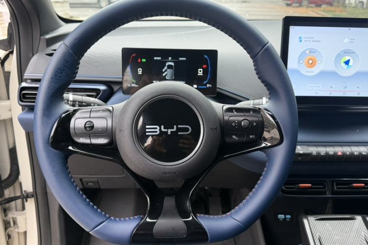 Used BYD Seagull 2025 305 km Free Version