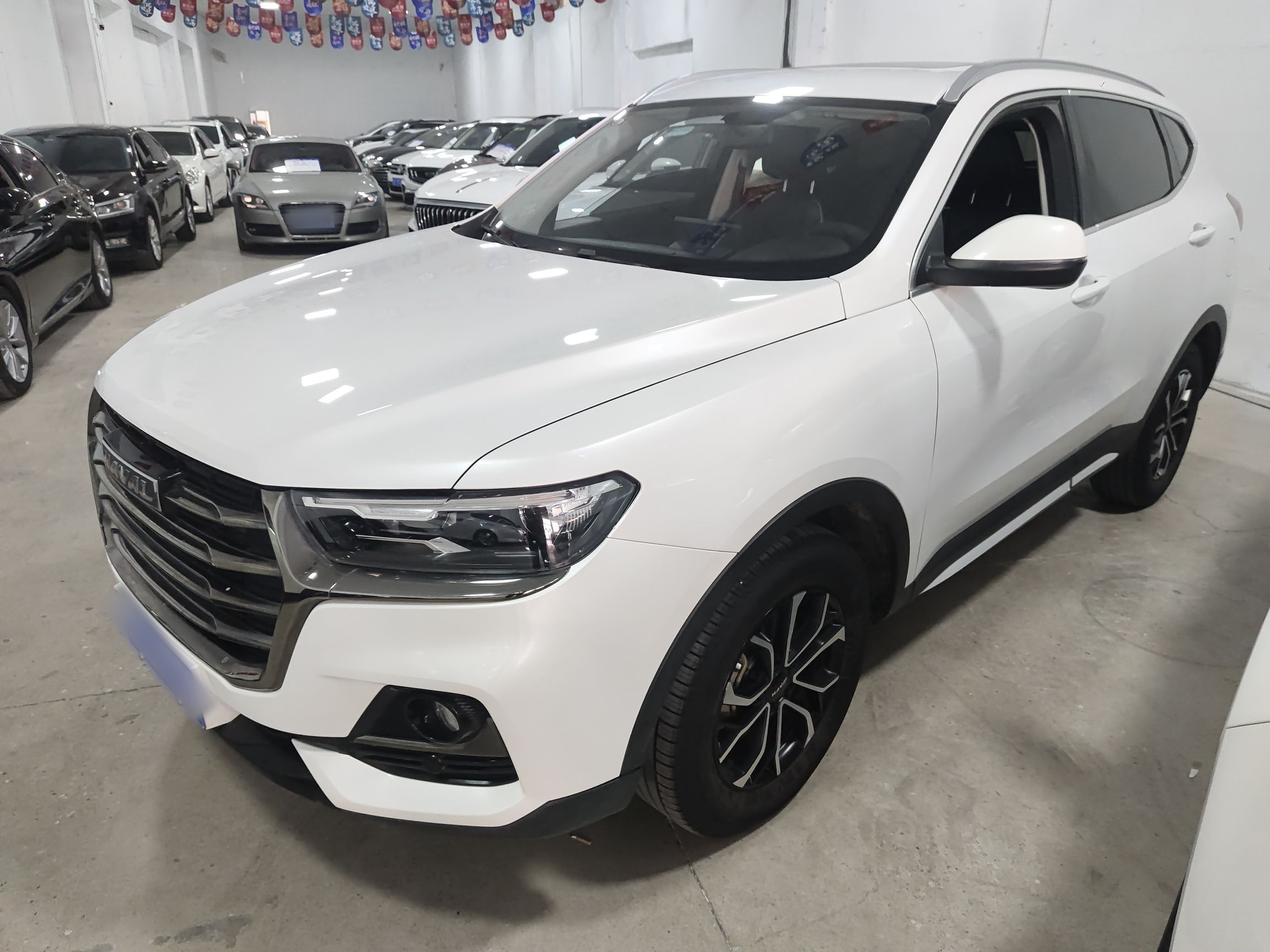 Parte inferior delantera