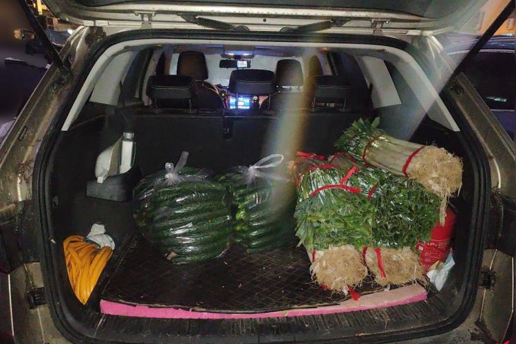 Used Skoda Kodiaq 2018 Facelifted TSI330 5-Seater Two-Wheel-Drive Comfort Edition
