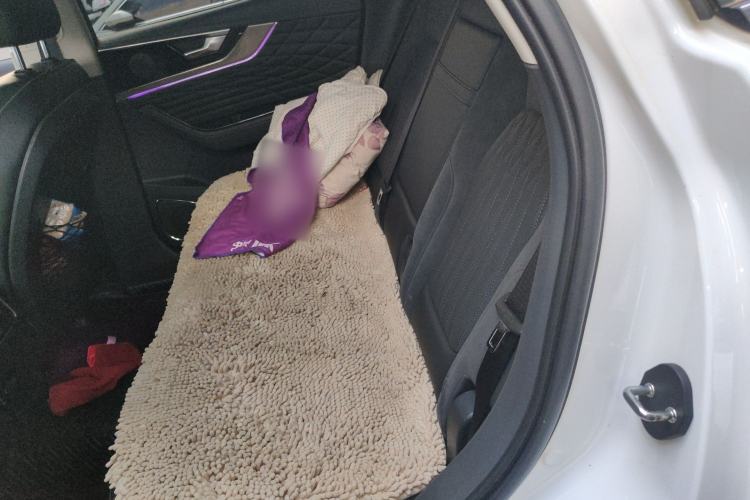 Used Hongqi HS5 2022 Facelifted Version 2.0T Smart Connect Flagship All-Wheel-Drive Edition Left Rear Seat