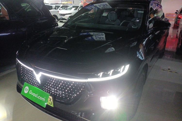 Used VOYAH COURAGE 2024 Four-Wheel Drive Global Edition