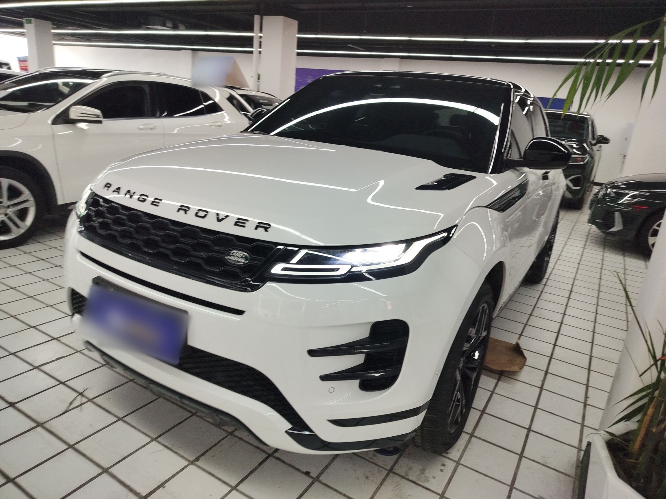 Parte inferior delantera