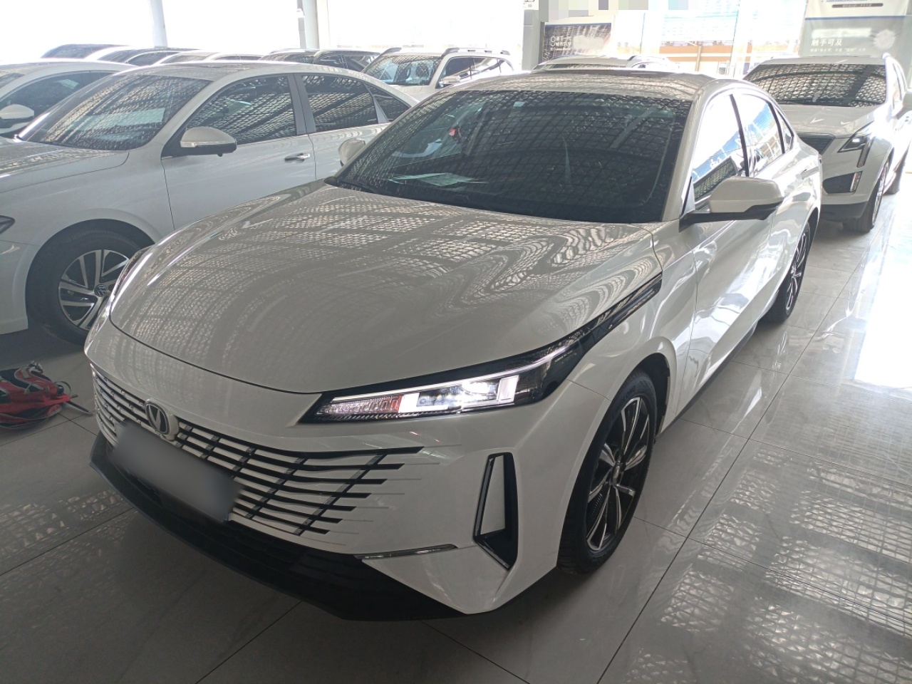 Parte inferior delantera