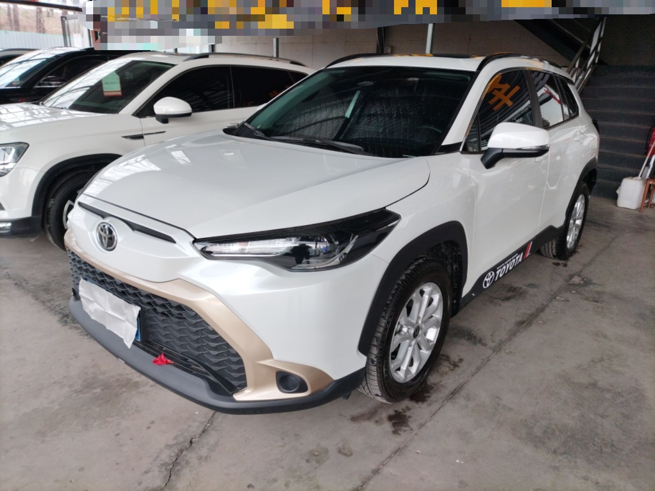 Parte inferior delantera