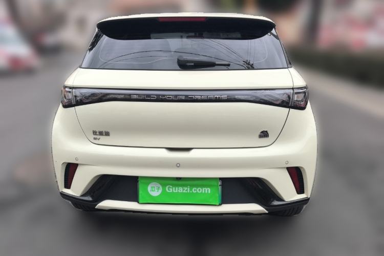 Used BYD Dolphin 2023 420 km Free Version