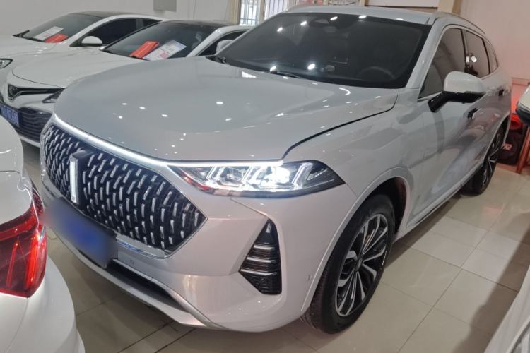 Used Wey Mocha 2021 2.0T Two-Wheel-Drive Premium Edition