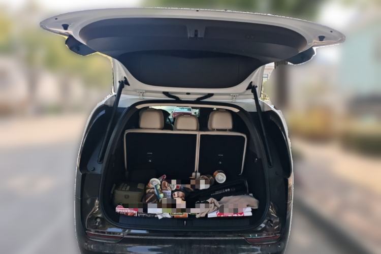 Used Li Auto MEGA 2024 Ultra Model