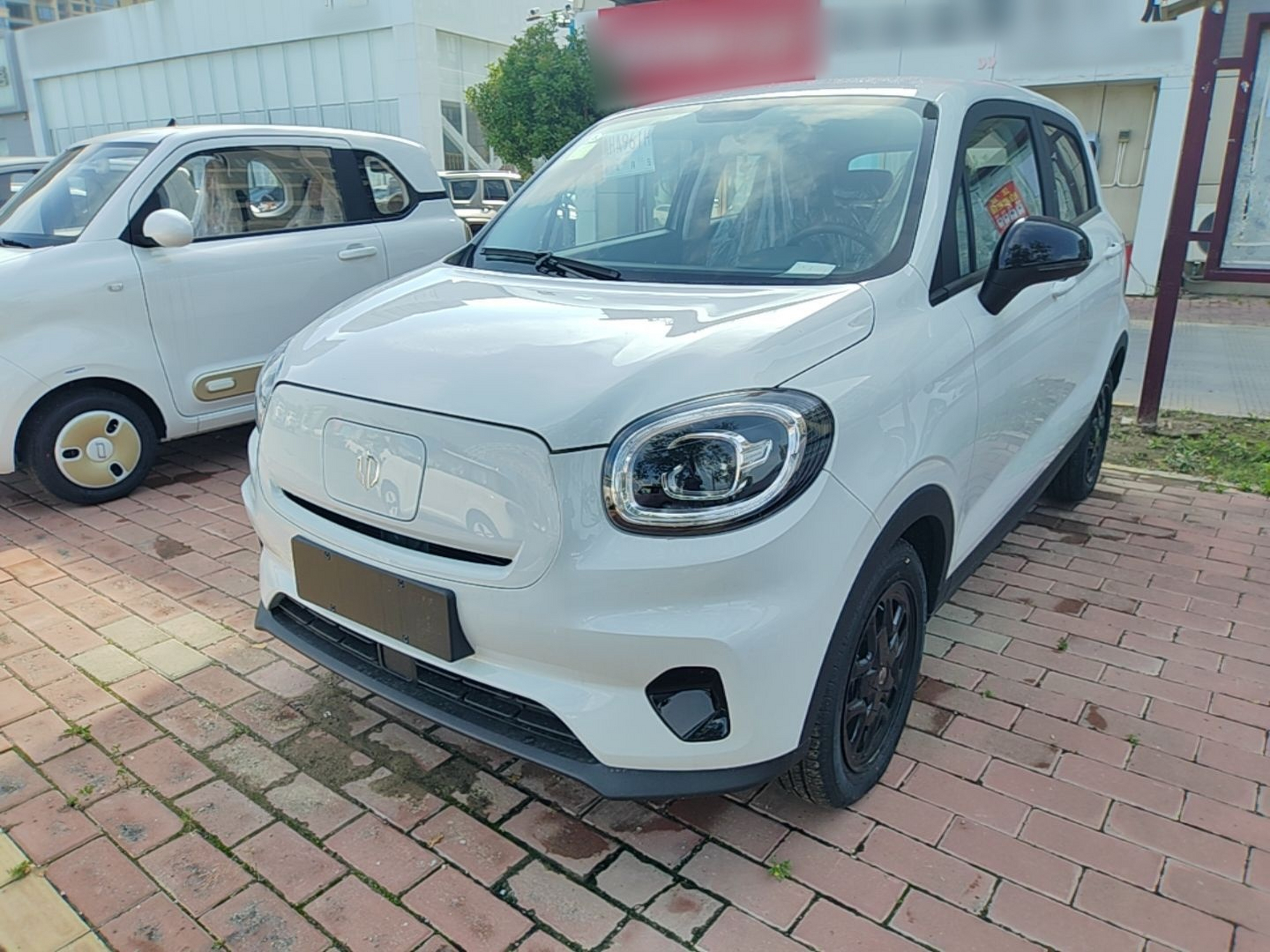 Under Front Bumper