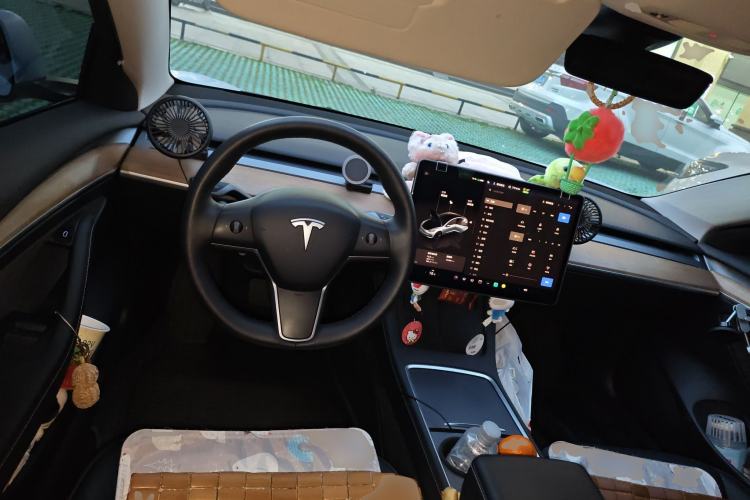 Used Tesla Model 3 2022 Rear-Wheel-Drive Version