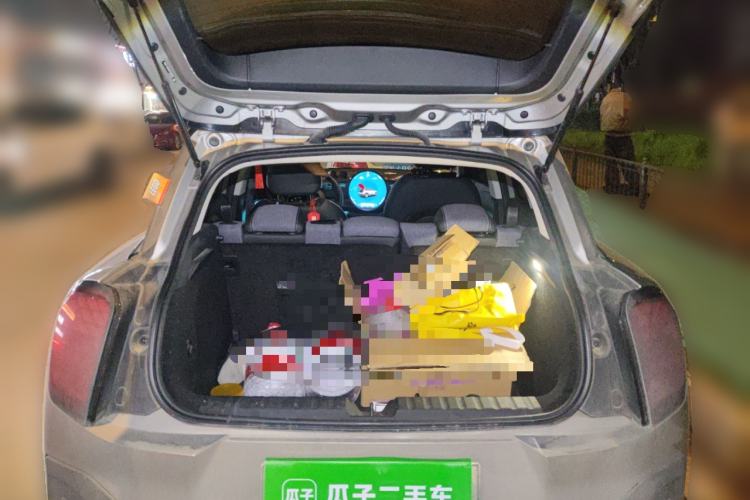 Used MINI Electric ACEMAN 2024 E Classic Edition
