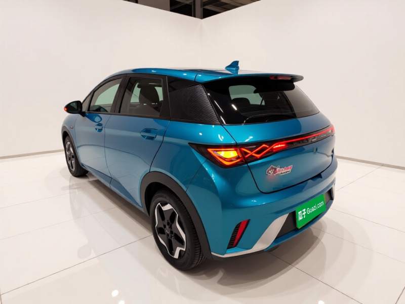 Used BYD Dolphin 2021 405 km Fashion Edition — 4