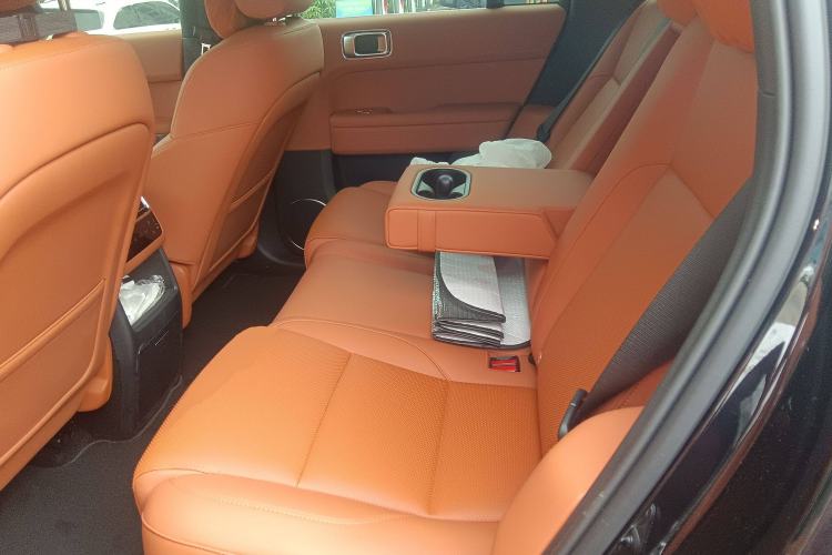 Used Li Auto L6 2024 Pro Model Left Rear Seat